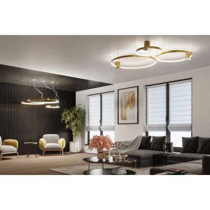 Thoro TH.252 - LED Stropní svítidlo RIO LED/50W/230V CRI 90 3000K pr. 78 cm zlatá