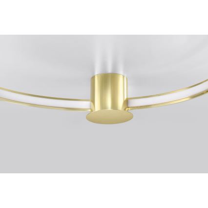 Thoro TH.252 - LED Stropní svítidlo RIO LED/50W/230V CRI 90 3000K pr. 78 cm zlatá