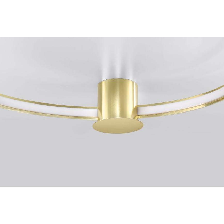 Thoro TH.252 - LED Stropní svítidlo RIO LED/50W/230V CRI 90 3000K pr. 78 cm zlatá