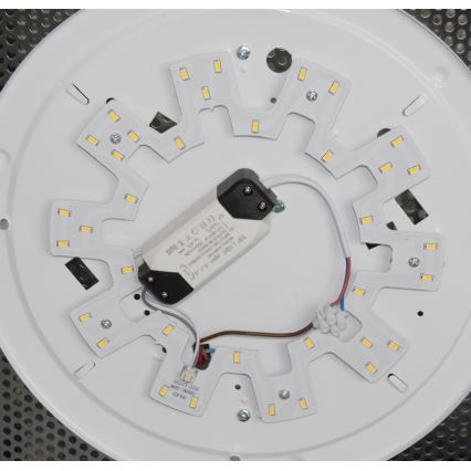 Top Light - LED Modul LED/18W/230V