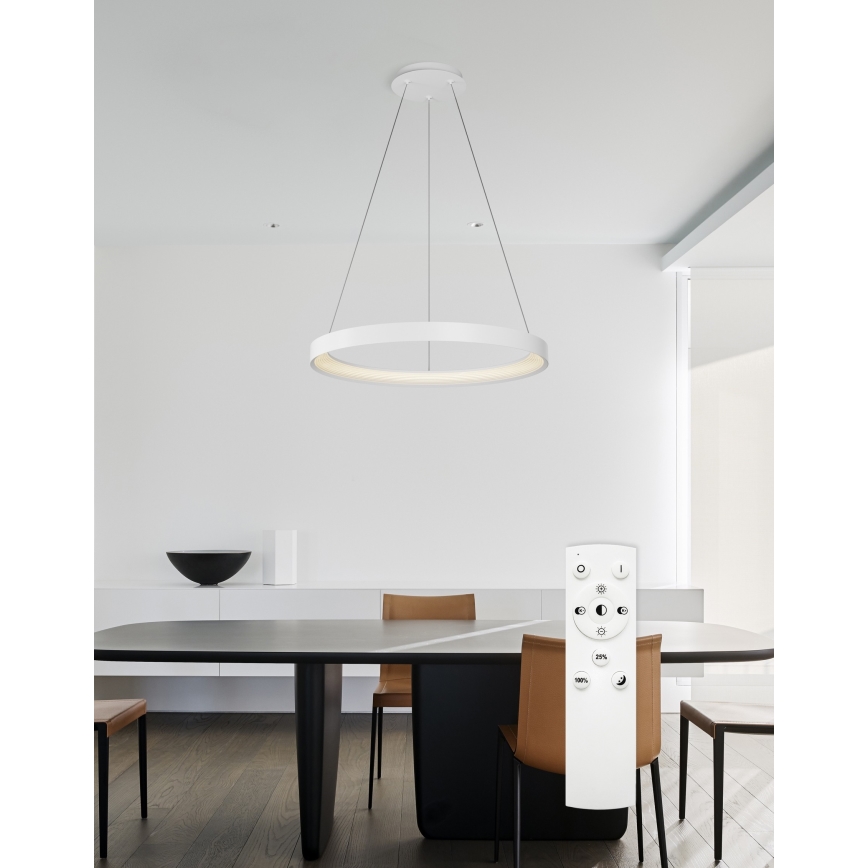 Top Light - LED Stmívatelný lustr na lanku ORBIT LED/40W/230V 3000-6500K pr. 50 cm bílá + dálkové ovládání