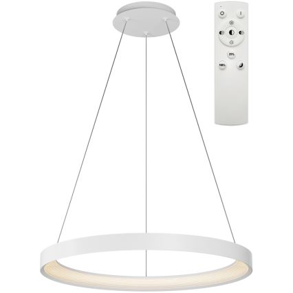 Top Light - LED Stmívatelný lustr na lanku ORBIT LED/40W/230V 3000-6500K pr. 50 cm bílá + dálkové ovládání