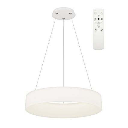 Top Light - LED Stmívatelný lustr na lanku HALO LED/60W/230V 3000-6500K pr. 60 cm + dálkové ovládání
