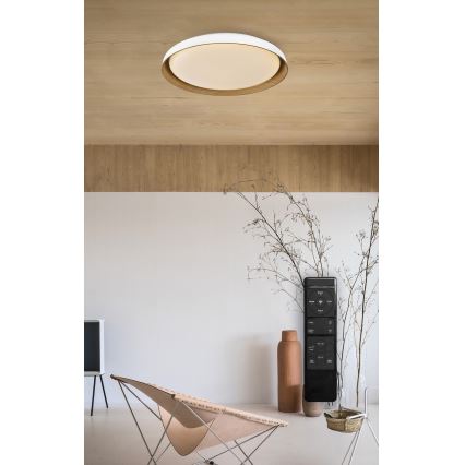 Top Light - LED Stmívatelné stropní svítidlo SATELLITE LED/36W/230V 3000-6500K pr. 43 cm bílá/hnědá + dálkové ovládání