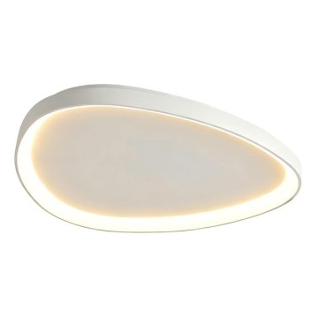 Top Light - LED Stmívatelné stropní svítidlo ECLIPSE LED/55W/230V 3000-6500K pr. 60 cm bílá + dálkové ovládání