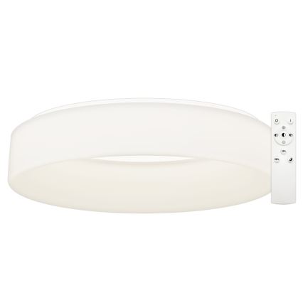 Top Light - LED Stmívatelné stropní svítidlo HALO LED/60W/230V 3000-6500K pr. 60 cm bílá + dálkové ovládání