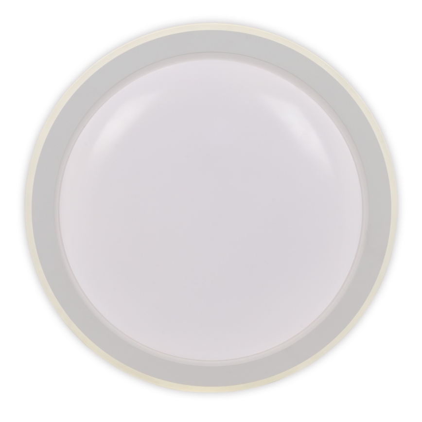 Top Light - LED Stmívatelné stropní svítidlo NORMAN LED/60W/230V pr. 49 cm bílá + dálkové ovládání