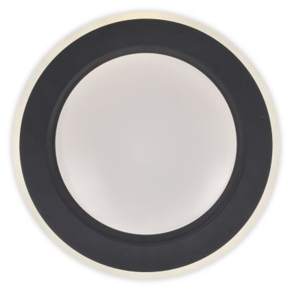 Top Light - LED Stmívatelné stropní svítidlo NORMAN LED/60W/230V pr. 49 cm černá + dálkové ovládání
