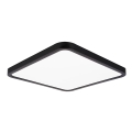 Top Light - LED Stmívatelné stropní svítidlo REVIT LED/36W/230V 3000-6500K 40x40 cm černá + dálkové ovládání