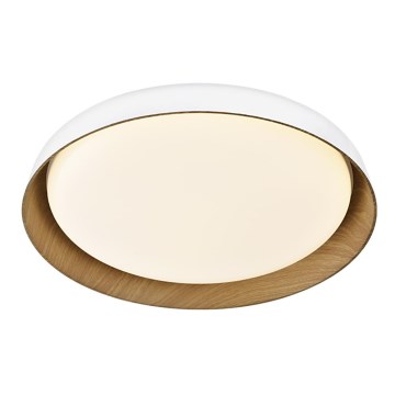 Top Light - LED Stmívatelné stropní svítidlo SATELLITE LED/36W/230V 3000-6500K pr. 43 cm bílá/hnědá + dálkové ovládání