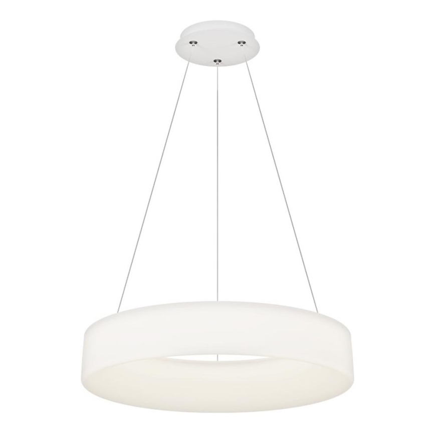 Top Light - LED Stmívatelný lustr na lanku HALO LED/60W/230V 3000-6500K pr. 60 cm + dálkové ovládání