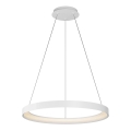 Top Light - LED Stmívatelný lustr na lanku ORBIT LED/40W/230V 3000-6500K pr. 50 cm bílá + dálkové ovládání