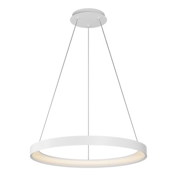 Top Light - LED Stmívatelný lustr na lanku ORBIT LED/40W/230V 3000-6500K pr. 50 cm bílá + dálkové ovládání