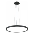Top Light - LED Stmívatelný lustr na lanku REVIT LED/50W/230V 3000-6500K pr. 60 cm černá + dálkové ovládání