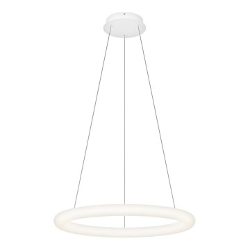 Top Light - LED Stmívatelný lustr na lanku RINGO LED/40W/230V 3000-6500K bílá + dálkové ovládání
