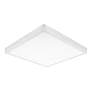 Top Light - LED Stropní svítidlo REVIT LED/24W/230V 3000/4000/6500K 30x30 cm bílá