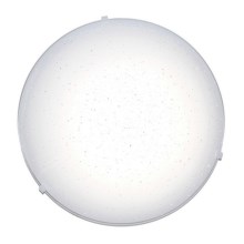 Top Light - LED Stropní svítidlo STAR LED/12W/230V