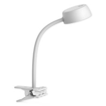 Top Light Olivia KL B - LED Stolní lampa s klipem OLIVIA KL B LED/4,5W/230V bílá