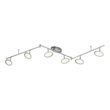 TRIO - LED Bodové svítidlo DUELLANT 6xLED/4,3W/230V 3000K