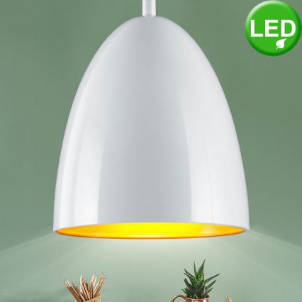 TRIO - LED Lustr na lanku COB LED/6,5W/230V