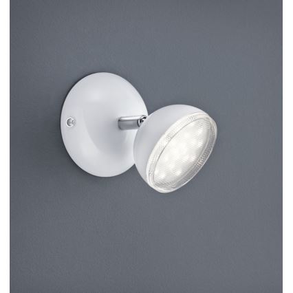 Trio - LED Nástěnné bodové svítidlo BOLOU LED/3,8W/230V