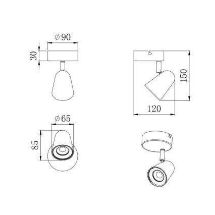 Trio - LED Nástěnné bodové svítidlo TOULOUSE LED/3,5W/230V černá