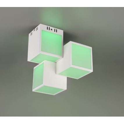 Trio 652810331 - LED RGBW Stmívatelný přisazený lustr OSCAR 3xLED/8W/230V 3000-6000K Wi-Fi + dálkové ovládání