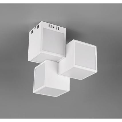 Trio 652810331 - LED RGBW Stmívatelný přisazený lustr OSCAR 3xLED/8W/230V 3000-6000K Wi-Fi + dálkové ovládání