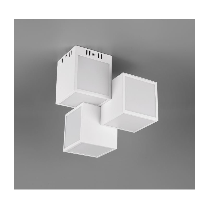 Trio 652810331 - LED RGBW Stmívatelný přisazený lustr OSCAR 3xLED/8W/230V 3000-6000K Wi-Fi + dálkové ovládání