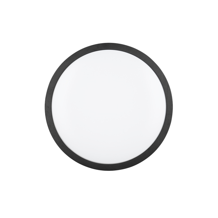 Trio - LED Stmívatelné stropní svítidlo ISEO LED/24W/230V 3000K pr. 40 cm černá