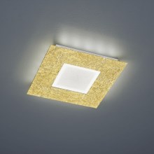 Trio - LED Stropní svítidlo CHIROS LED/12W/230V + LED/3,5W