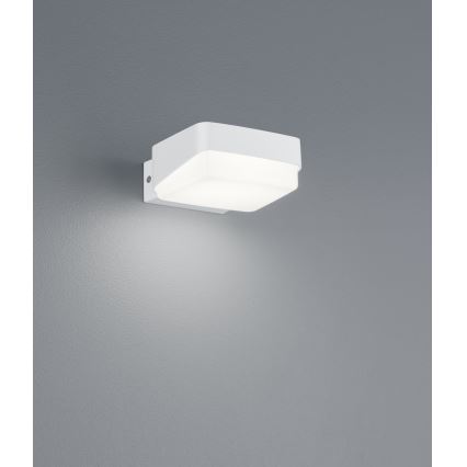 Trio - LED Venkovní nástěnné svítidlo JUBA LED/10W/230V IP65