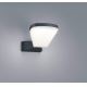 TRIO - LED Venkovní nástěnné svítidlo VOLTURNO LED/5,5W/230V IP54