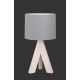TRIO - Stolní lampa GING 1xE14/40W/230W šedá