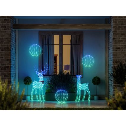 Twinkly - LED RGBW Stmívatelný venkovní vánoční sob REINGEERS 200xLED IP44 Wi-Fi