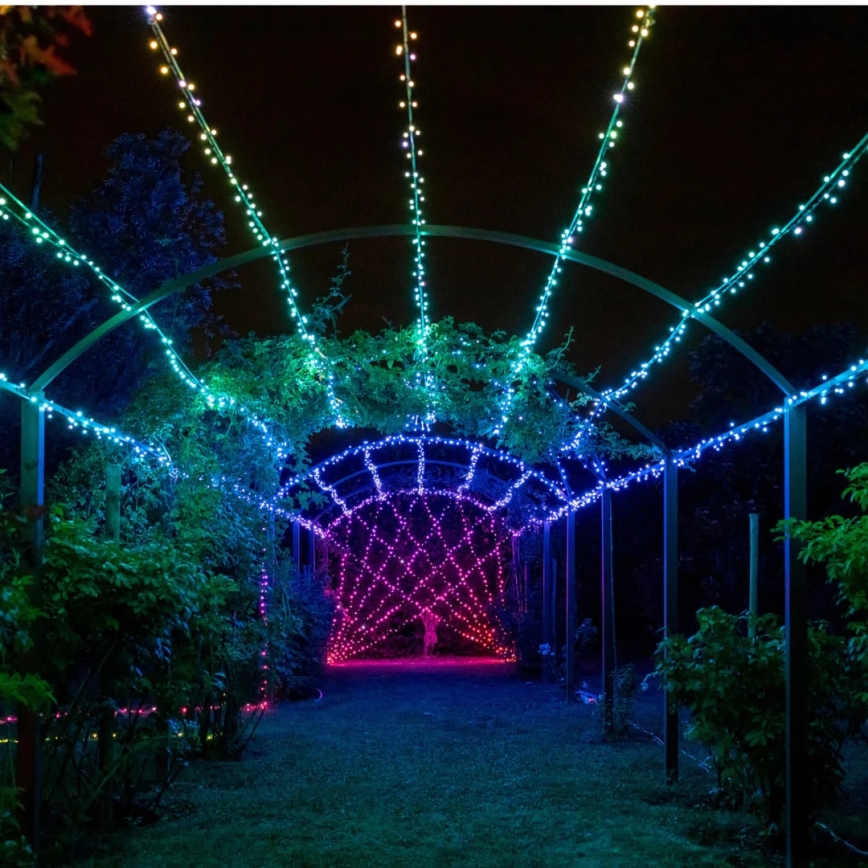 Twinkly - LED RGBW Stmívatelný venkovní vánoční řetěz STRINGS 250xLED 23,5m IP44 Wi-Fi