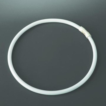 Úsporná žárovka 2GX13/60W 2700k