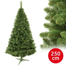 Vánoční stromek 250 cm jedle