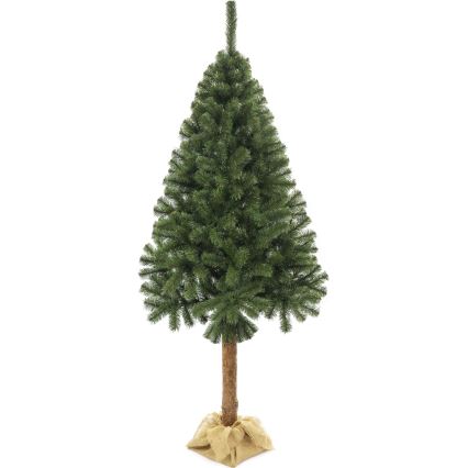 Vánoční stromek na kmenu 160 cm jedle