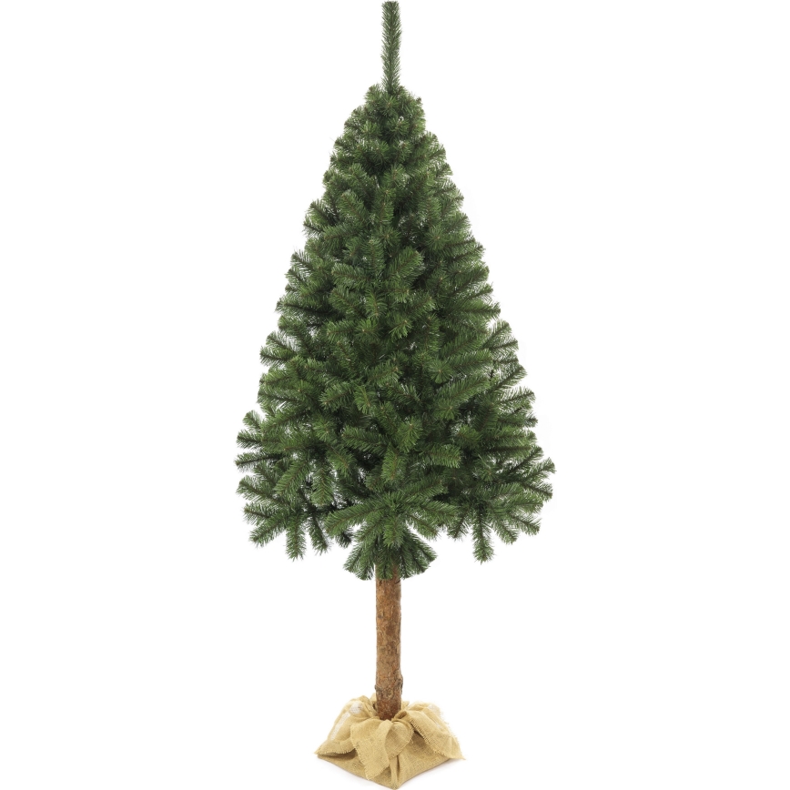 Vánoční stromek na kmenu 160 cm jedle