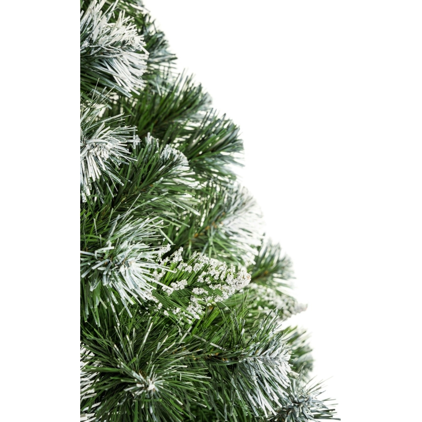 Vánoční stromek na kmenu 180 cm borovice