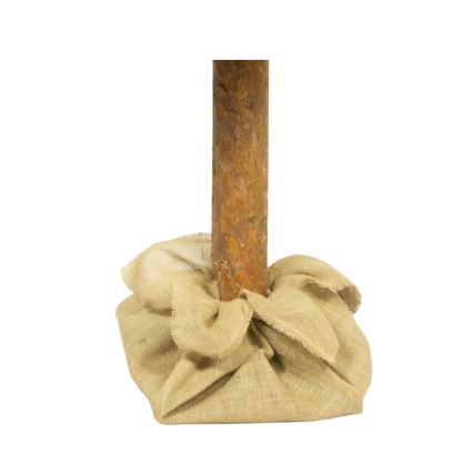 Vánoční stromek na kmenu 180 cm borovice