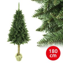 Vánoční stromek na kmenu 180 cm jedle