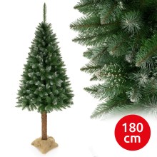 Vánoční stromek na kmenu 180 cm smrk