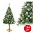 Vánoční stromek na kmenu 220 cm borovice
