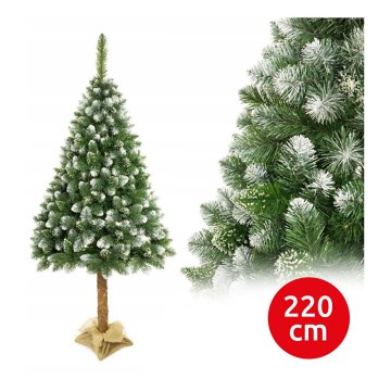 Vánoční stromek na kmenu 220 cm borovice