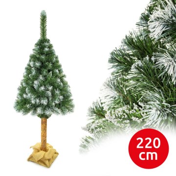 Vánoční stromek na kmenu 220 cm borovice