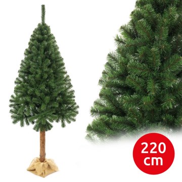 Vánoční stromek na kmenu 220 cm jedle