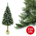 Vánoční stromek na kmenu 220 cm jedle