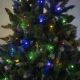 Vánoční stromek NORY 250 cm borovice